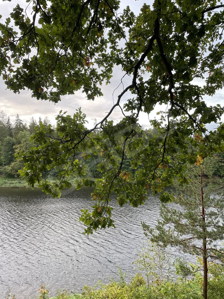 Vīrieši Meklē Sievieti Sludinājumi, Ķegums. Padree: padree@inbox.lv 1