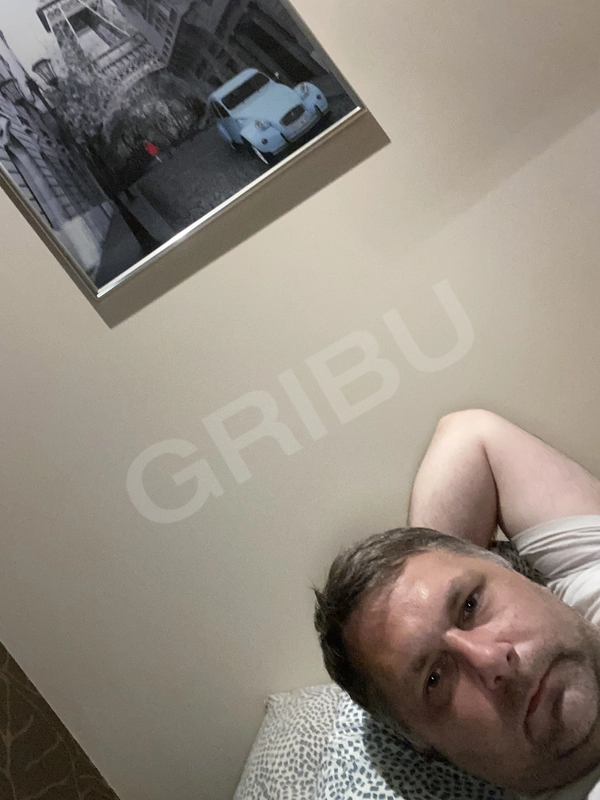 Gribumins 4945147