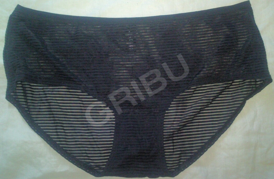 panty 4880997